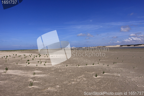 Image of seascape and beach at low tide on the coast of opal in France