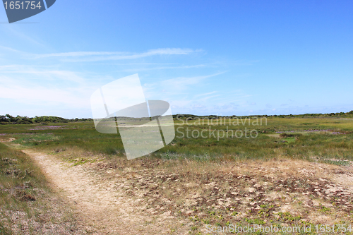 Image of seascape and beach at low tide on the coast of opal in France