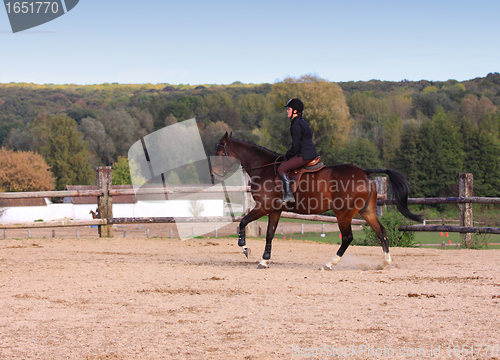 Image of pretty young woman rider in a competition riding