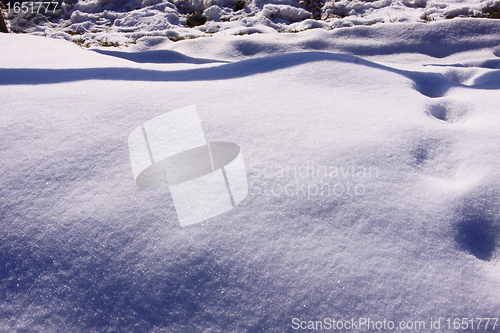 Image of campaign under the sun and winter snow