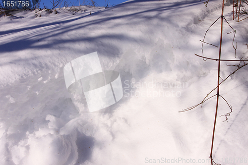 Image of campaign under the sun and winter snow