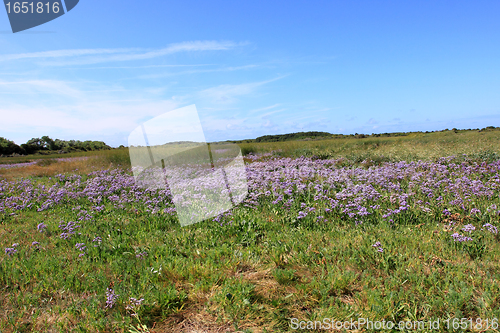 Image of seascape and beach at low tide on the coast of opal in France