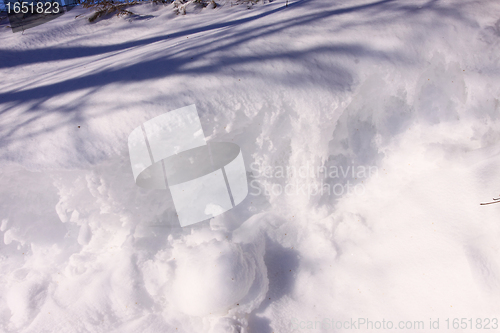 Image of campaign under the sun and winter snow
