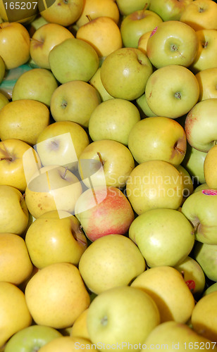 Image of Apples