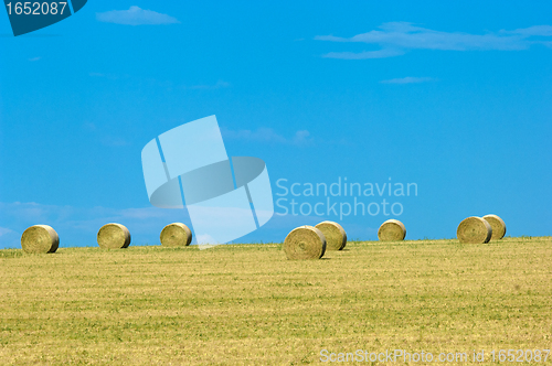 Image of Montana landscape