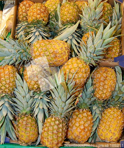 Image of Pineapples