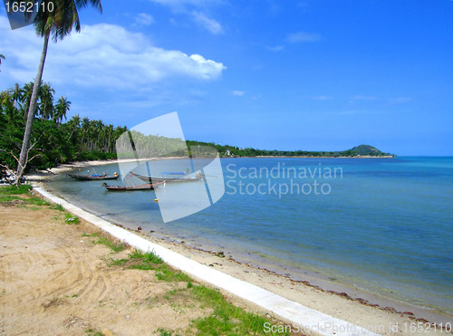 Image of Fishing Boats at Koh Samui, Thailand