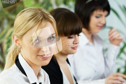 Image of Young business ladies working in office