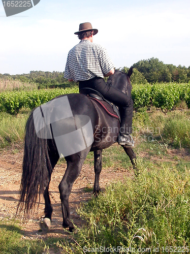 Image of young man and horse