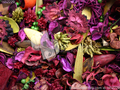 Image of pot pourri