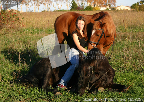 Image of horse laid down and riding girl