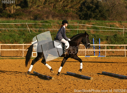 Image of horse and woman in dressage