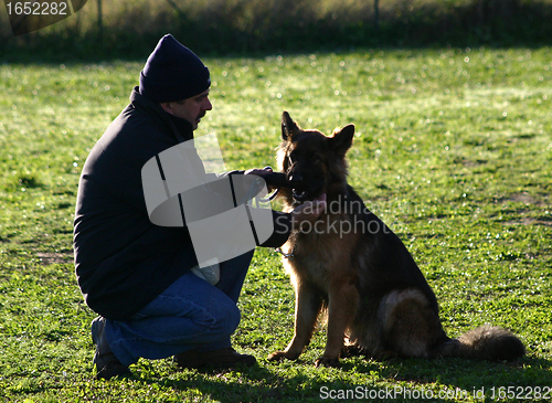 Image of german shepherd and man