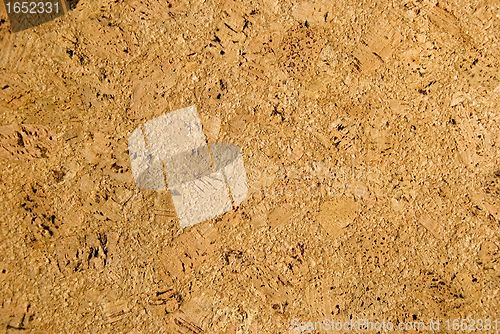 Image of Plate made of cork tree 