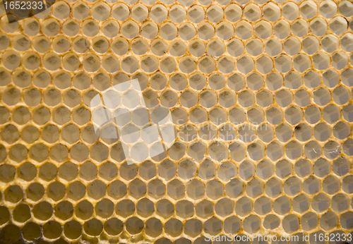 Image of Honeycomb mesh 