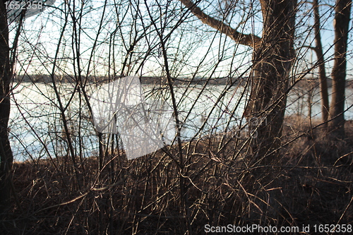 Image of River through branches2