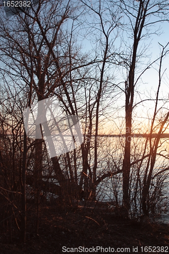 Image of Sun, Ottawa River and Trees