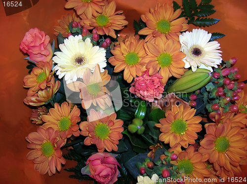 Image of Orange and pink flowers