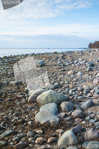 Image of Stony coast of Baltic sea
