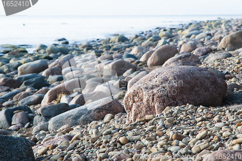 Image of Stony coast of Baltic sea