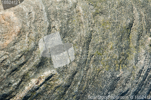 Image of Surface of a marine stone, close up