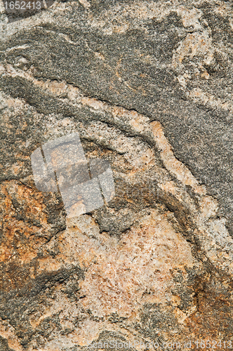 Image of Surface of a marine stone, close up