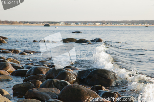 Image of Stony coast of Baltic sea