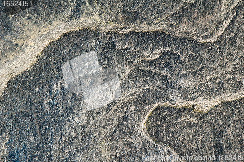 Image of Surface of a marine stone, close up