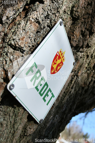 Image of Protected tree