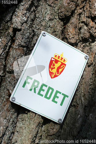 Image of Protected tree