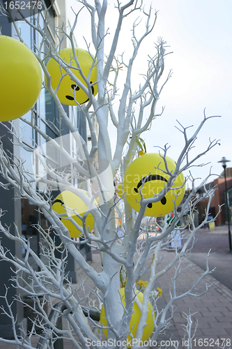 Image of White tree