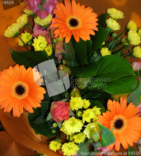 Image of Orange and yellow flowers