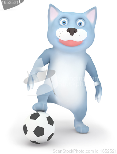 Image of Cat and soccer ball