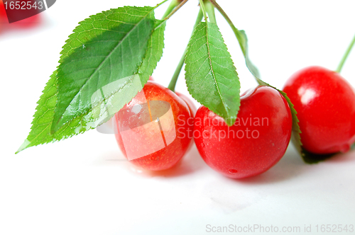 Image of Cherry fruits