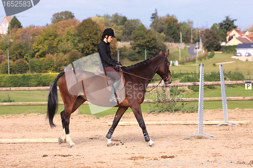 Image of Horse to relax with a young rider before a contest