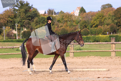 Image of Horse to relax with a young rider before a contest