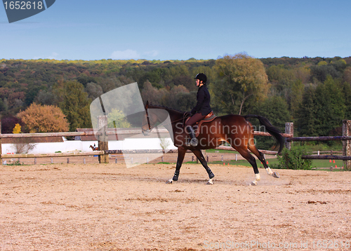 Image of pretty young woman rider in a competition riding