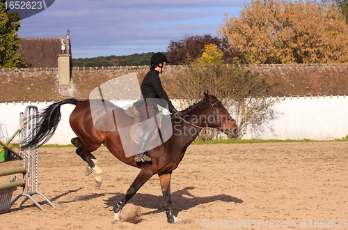 Image of pretty young woman rider in a competition riding