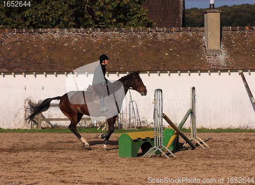 Image of horse and rider has a jumping contest