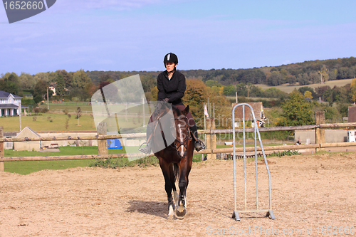 Image of Horse to relax with a young rider before a contest