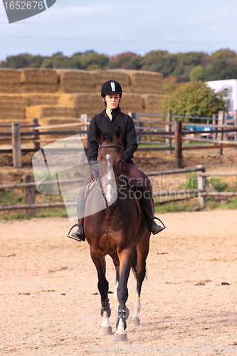 Image of Horse to relax with a young rider before a contest