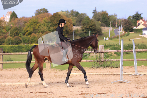 Image of Horse to relax with a young rider before a contest