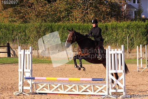 Image of horse and rider has a jumping contest
