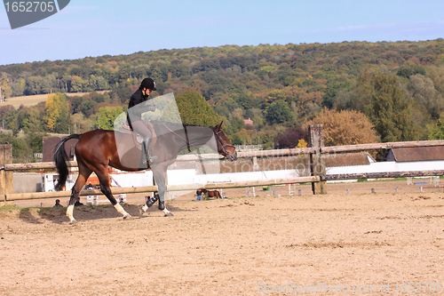 Image of Horse to relax with a young rider before a contest