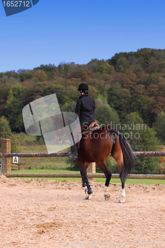 Image of pretty young woman rider in a competition riding