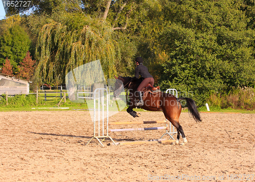 Image of pretty young woman rider in a competition riding