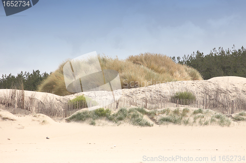 Image of landscape of the Opal Coast in France