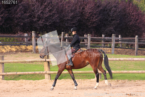 Image of pretty young woman rider in a competition riding