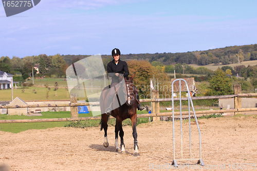 Image of Horse to relax with a young rider before a contest