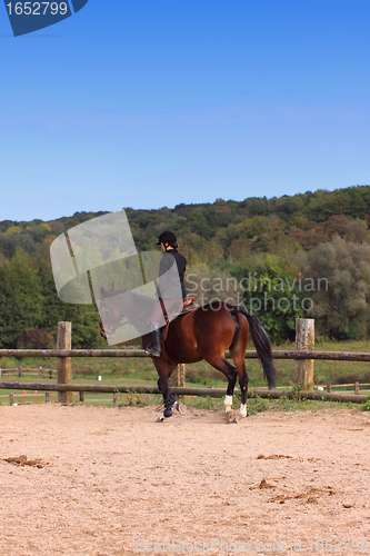 Image of pretty young woman rider in a competition riding